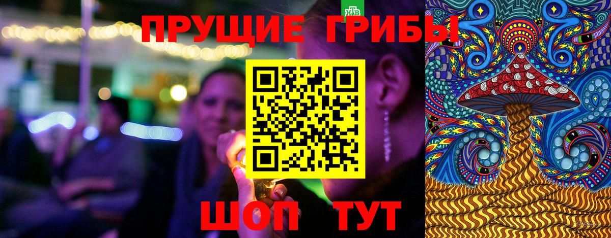 Воскресенск  Галлюциногенные грибы Psilocybine cubensis  закладки  Вход с VPN 