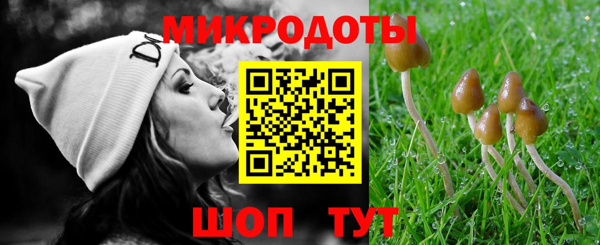 Псилоцибиновые грибы Psilocybine cubensis Воскресенск